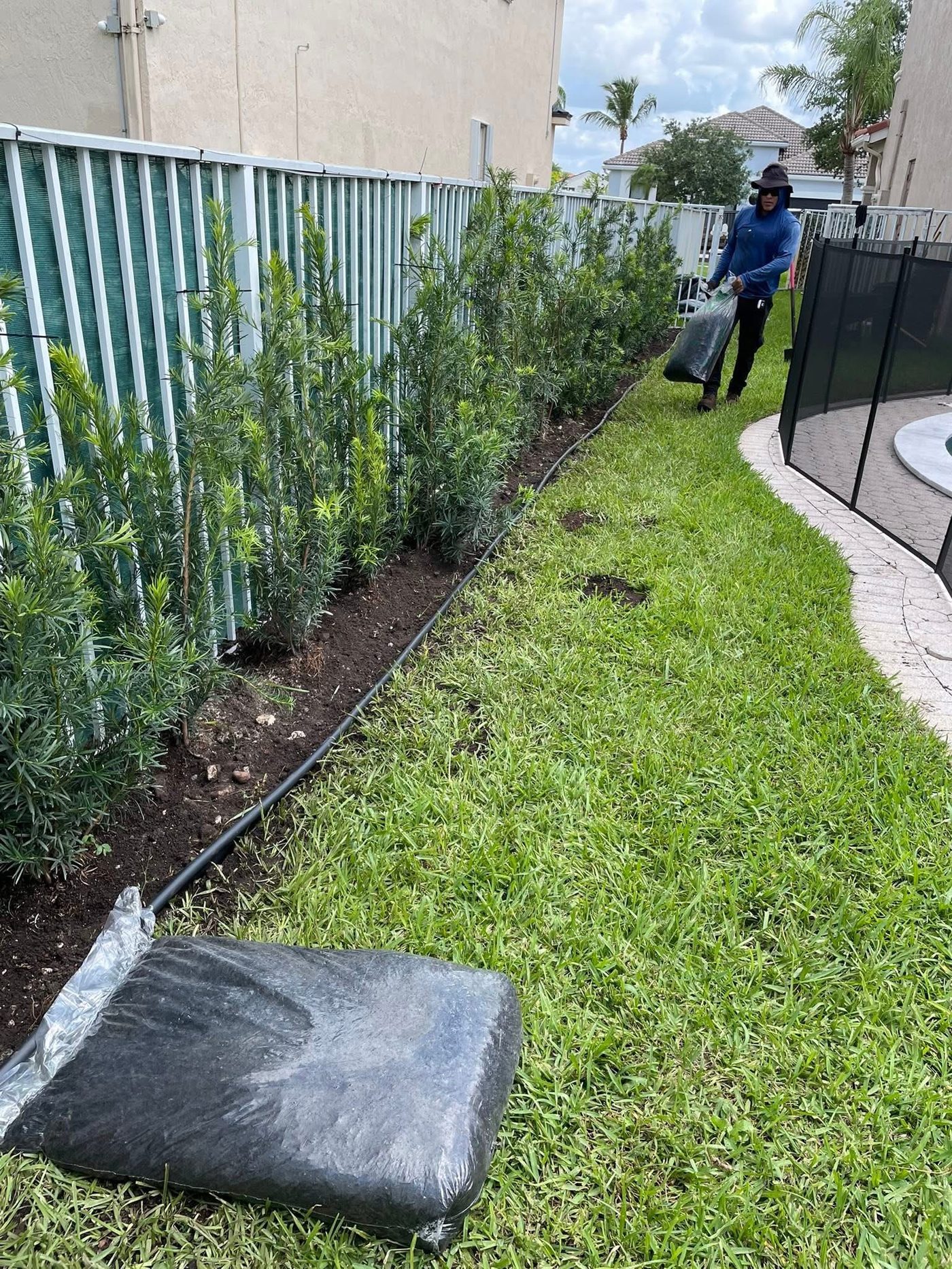 Crew member planting a hedge row along a fence line as part of a landscaping project